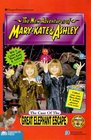 The Case of the Great Elephant Escape (New Adventures of Mary-Kate & Ashley, #10)