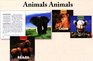 Animals Animals Set 4