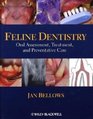 Feline Dentistry Oral Assessment Treatment and Preventative Care