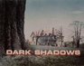 Dark Shadows  The First Year