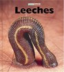 Leeches