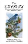 The Pinyon Jay Behavioral Ecology of a Colonial and Cooperative Corvid