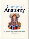Anatomy A Regional Atlas of the Human Body