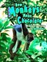 How Monkeys Make Chocolate Unlocking the Mysteries of the Rainforest