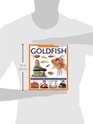 How To Look After Your Goldfish A practical guide to caring for your pet in stepbystep photographs