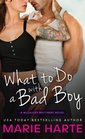 What to Do with a Bad Boy (McCauley Brothers,  Bk 4)