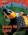 Coral Snakes Beware the Colors