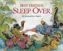 Best Friends Sleep over