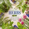 Apple Book of Herbs