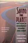 Saving the Planet: How to Shape an Environmentally Substainable Global Economy (The Worldwatch Environmental Alert Series)