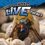 Why Do Animals Live There