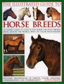 The Illustrated Guide to Horse Breeds