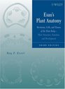 Esau's Plant Anatomy Meristems Cells and Tissues of the Plant Body Their Structure Function and Development 3rd Edition