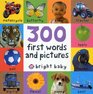 300 First Words and Pictures