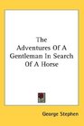 The Adventures Of A Gentleman In Search Of A Horse