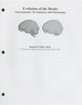 Evolution of the Brain Neuroanatomy Development and Paleontology