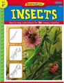 Draw and Color Insects