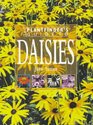 The Plantfinder's Guide to Daisies (Plantfinder's Guide (David & Charles))