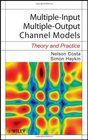 MultipleInput MultipleOutput Channel Models Theory and Practice