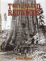 They Felled the Redwoods A Saga of Flumes and Rails in the High Sierra