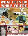What Pets Do While You're At Work