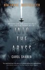 Into the Abyss How a Deadly Plane Crash Changed the Lives of a Pilot a Politician a Criminal and a Cop