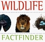 Wildlife (Factfinder Series)