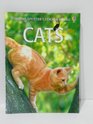 Cats Usborne Spotter's Sticker Books