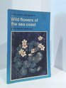 Lewis Clark's Field guide to wild flowers of the sea coast in the Pacific Northwest