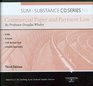 Sum  Substance Audio on Commercial Paper  Payment Law 3rd Edition