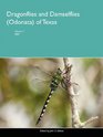 Dragonflies and Damselflies  of Texas Volume 2