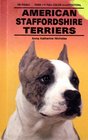 American Staffordshire Terriers