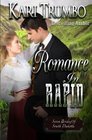 Romance in Rapid (Seven Brides of South Dakota) (Volume 4)