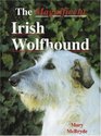 Magnificent Irish Wolfhound (A Ringpress Dog Book of Distinction)