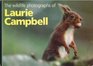 The Wildlife Photographs of Laurie Campbell