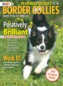 Training Secrets for Border Collies