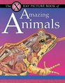 X Ray Picture Book of Amazing Animals