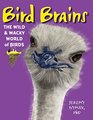 Bird Brains The Wild  Wacky World of Birds