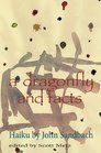 a dragonfly and facts