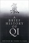 A Brief History of Qi