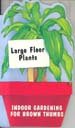 Large Floor Plants (Indoor Gardening for Brown Thumbs Series)