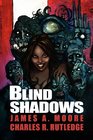 Blind Shadows