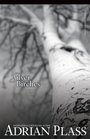 Silver Birches A Novel