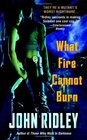 What Fire Cannot Burn (Soledad O'Roark, Bk 2)