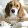 Four Paws from Heaven Gift Edition Inspirational Stories for Dog Lovers