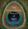 The Extraordinary Beauty of Birds Designs Patterns and Details