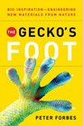The Gecko's Foot Bioinspiration Engineering New Materials from Nature