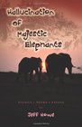 Hallucination of Majestic Elephants