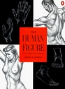 The Human Figure  An Anatomy for Artists
