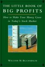 The Little Book of Big Profits How to Make Your Money Grow in Today's Stock Market